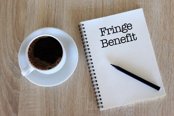 Top 7 Reasons Organization Offer Fringe Benefits to Employees